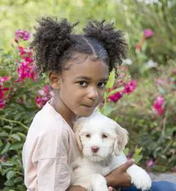 Granddaughter with a white labradoodle puppy.