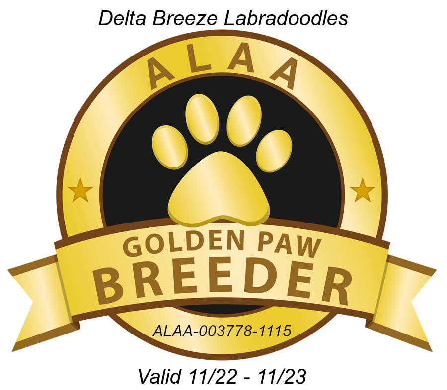 The logo for the golden paw breeder.