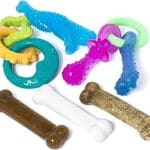 Nylabone Puppy Starter Ket with Chew Toys